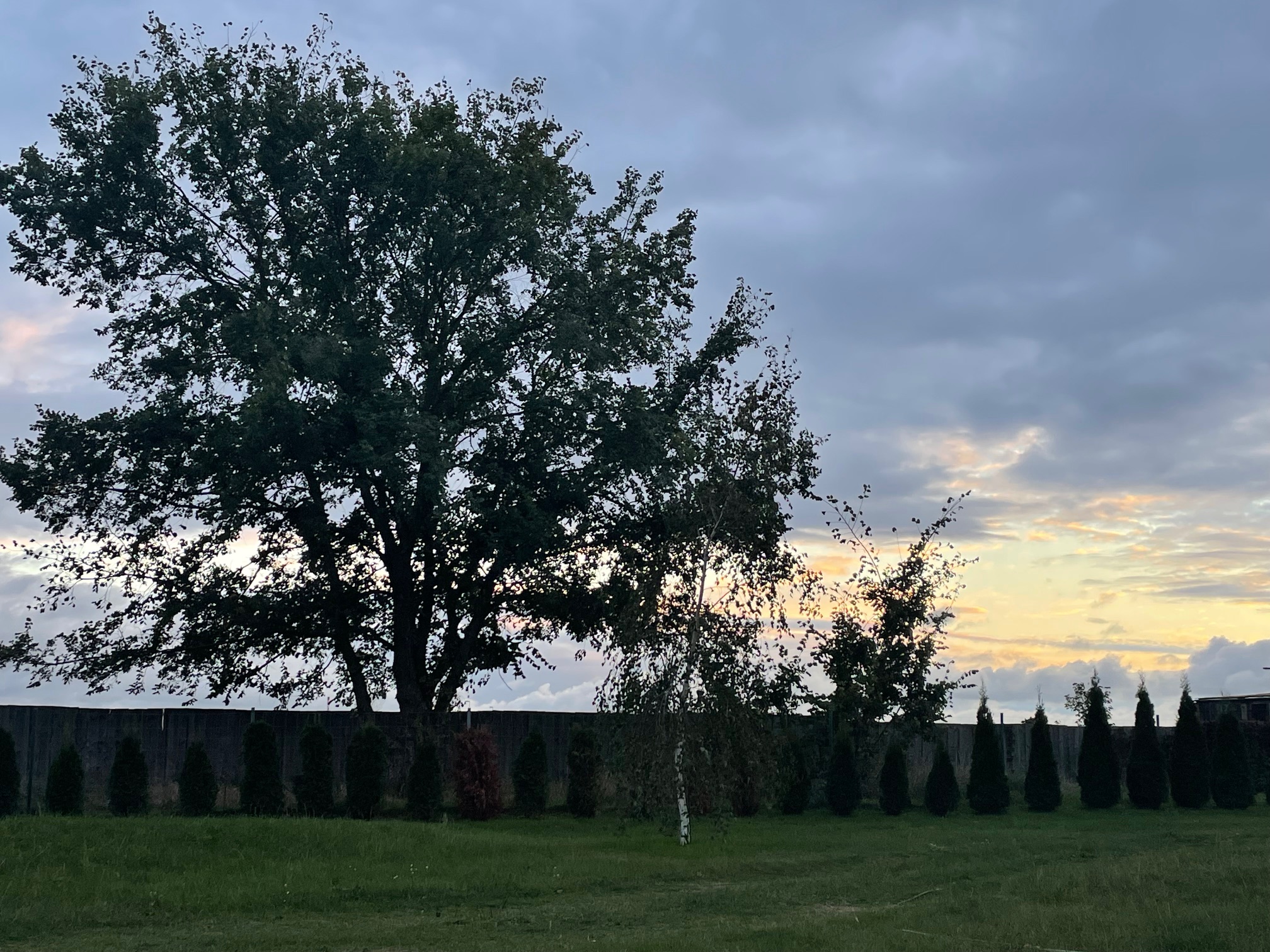 Wohnmobilstellplatz: Wohnmobilstellplatz Nationalpark unteres Odertal