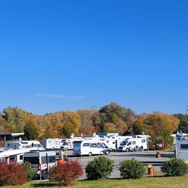 Wohnmobilstellplatz: WellMobilPark Bad Schönborn