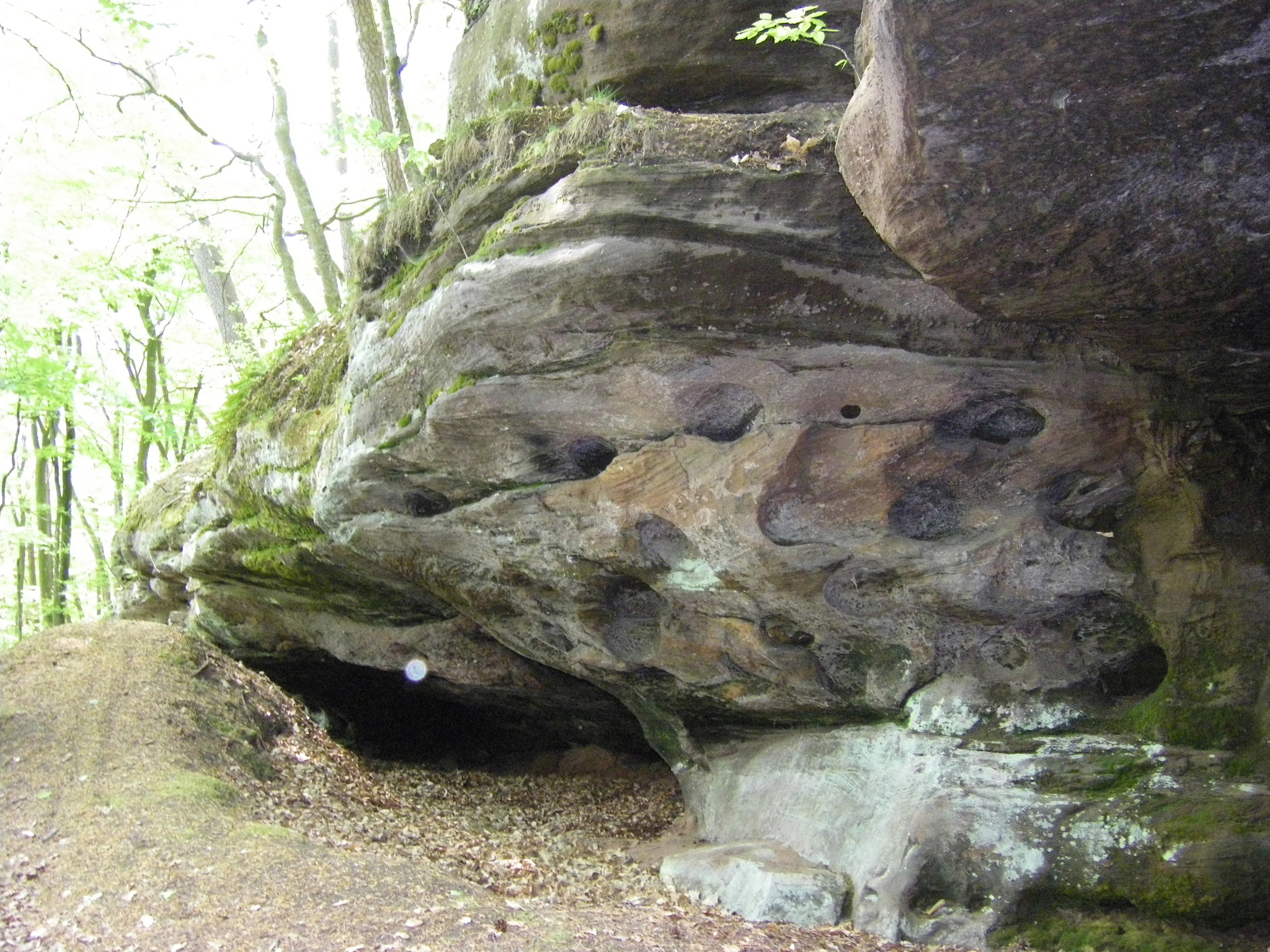 Wohnmobilstellplatz: typische Landschaft in der Umgebung - Stellplatz am Weiher Lemberg