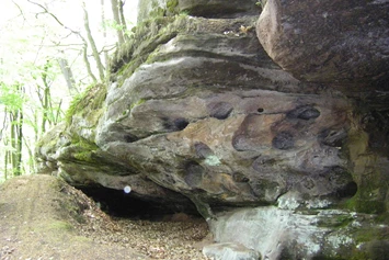 Wohnmobilstellplatz: typische Landschaft in der Umgebung - Stellplatz am Weiher Lemberg