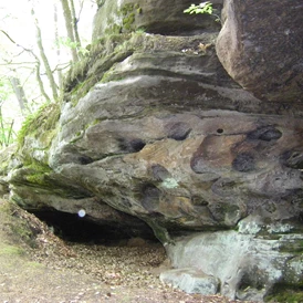 Wohnmobilstellplatz: typische Landschaft in der Umgebung - Stellplatz am Weiher Lemberg