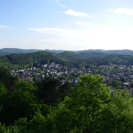 Wohnmobilstellplatz: Burgblick auf Lemberg - Stellplatz am Weiher Lemberg