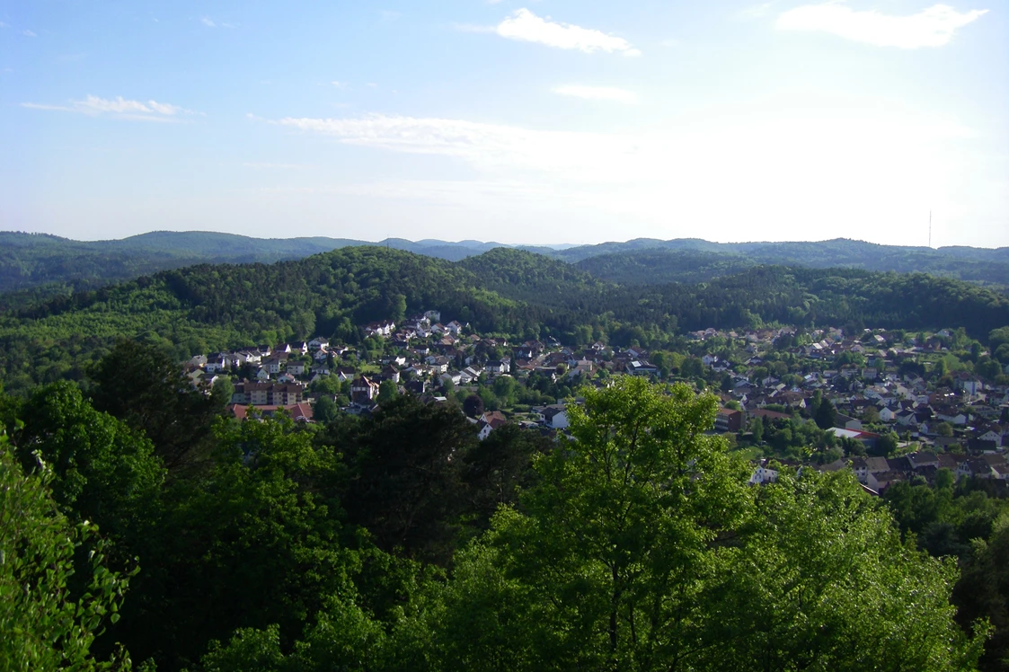 Wohnmobilstellplatz: Burgblick auf Lemberg - Stellplatz am Weiher Lemberg