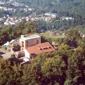 Wohnmobilstellplatz: Luftbild Burg und Teile des Ortes - Stellplatz am Weiher Lemberg