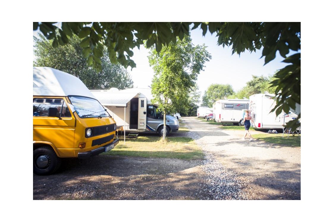 Wohnmobilstellplatz: Camping Südstrand WoMo-Wiese