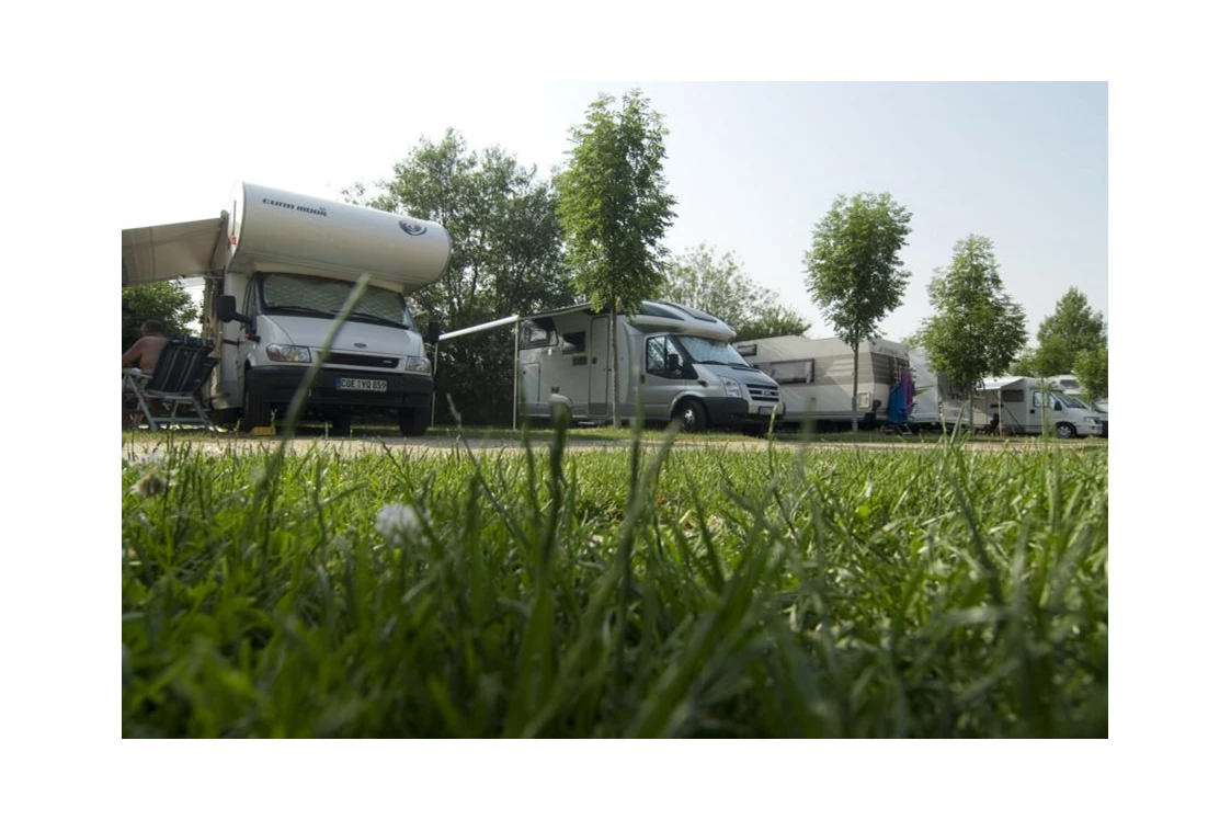 Wohnmobilstellplatz: Camping Südstrand WoMo-Wiese