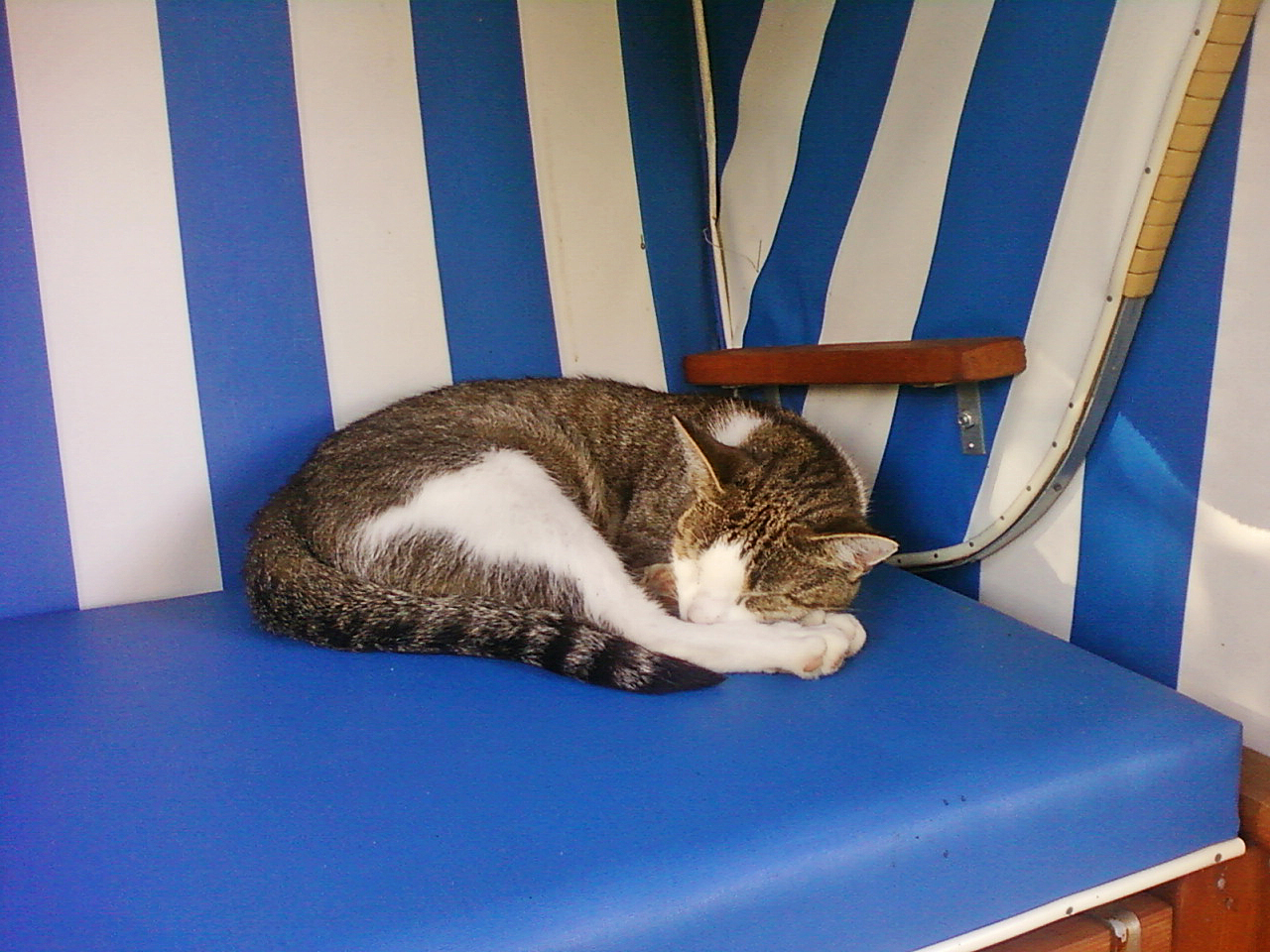 Reisemobilstellplatz - Spielplatz - Ostsee - Das ist mein Strandkorb. - Bauernhof Kleingarn