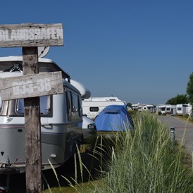 Wohnmobilstellplatz: Plätze direkt hinter'm Deich - Stellplatz Camping Strukkamphuk