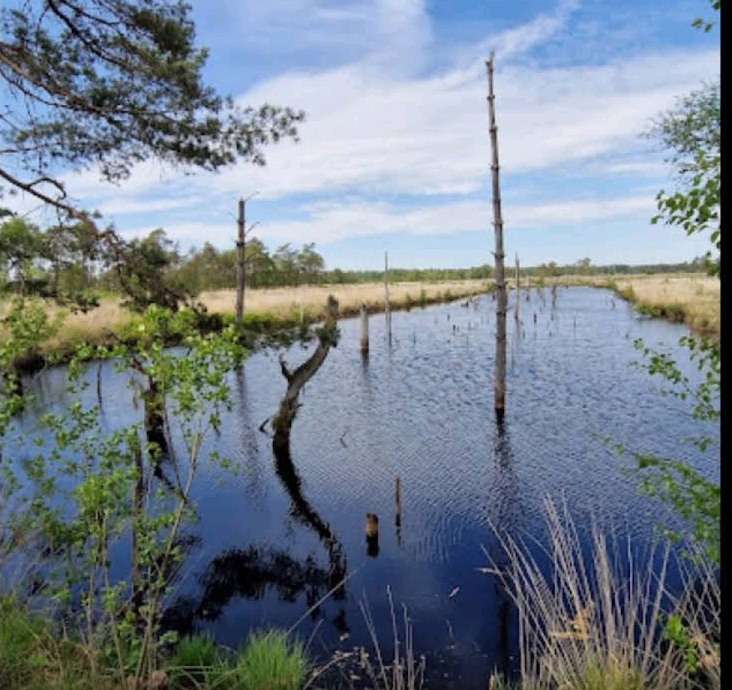 Wohnmobilstellplatz: Pietzmoor in 3 km - Wohnmobilstellplatz Bauernhof Heber Surbostel 9 Lüneburger Heide Park am Jakobsweg Hofladen Factory Outlet