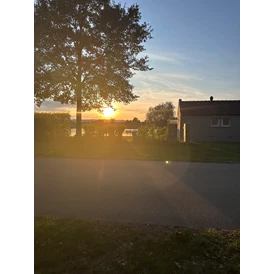 Wohnmobilstellplatz: Willkommen am Campingplatz am Seeufer! Erleben Sie bei uns unvergessliche Sonnenuntergänge, während Sie direkt am Wasser campen. Genießen Sie die malerische Kulisse, die Ruhe der Natur und die Möglichkeit, sich am See zu entspannen. Ihr perfektes Campingabenteuer wartet auf Sie! - Infinity-Campingplatz-Feldkirchenanderdonau