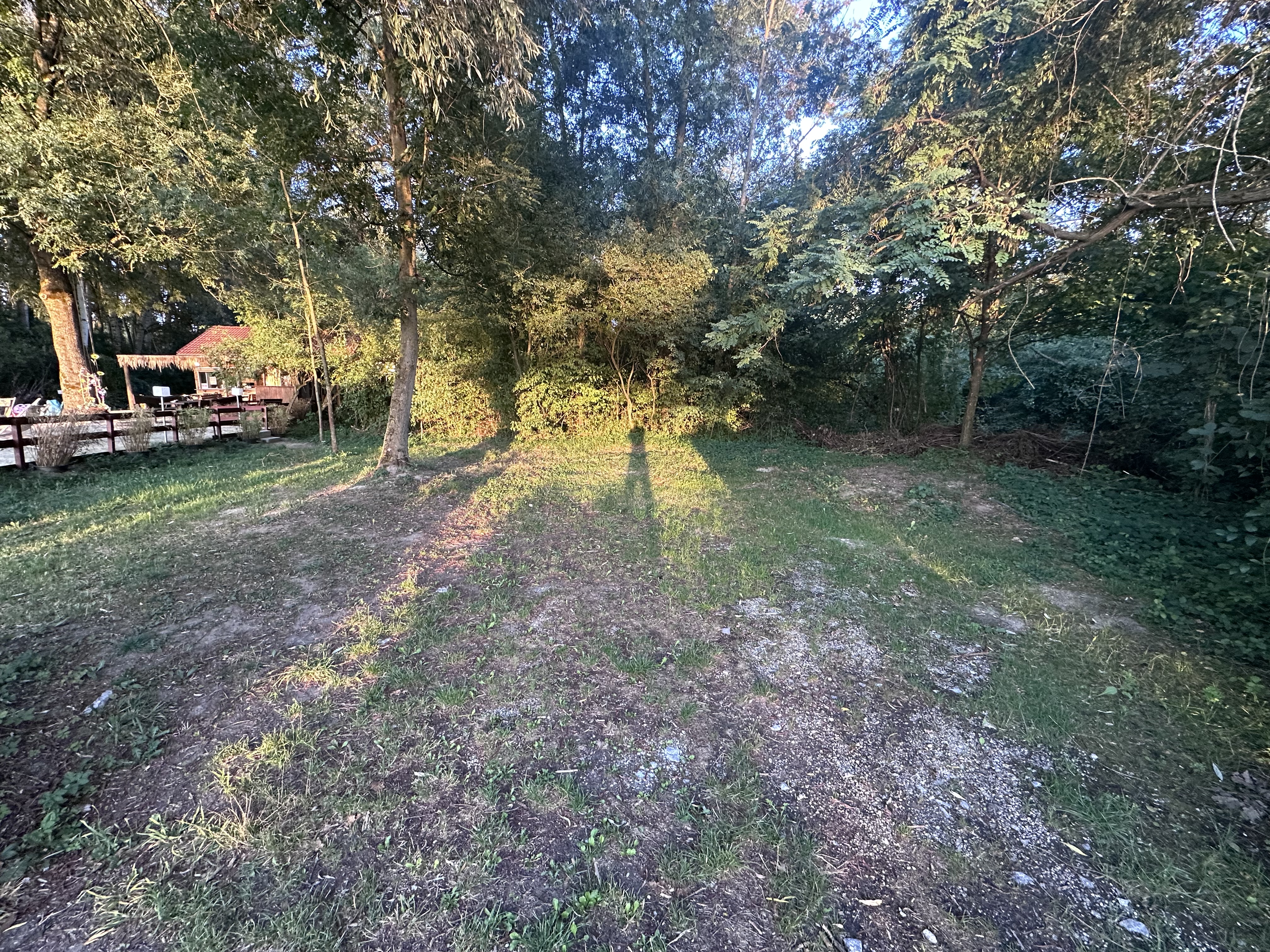 kampeerplaats voor campers - Restaurant - Niederwaldkirchen - Willkommen am Campingplatz am Seeufer! Erleben Sie bei uns unvergessliche Sonnenuntergänge, während Sie direkt am Wasser campen. Genießen Sie die malerische Kulisse, die Ruhe der Natur und die Möglichkeit, sich am See zu entspannen. Ihr perfektes Campingabenteuer wartet auf Sie! - Infinity-Campingplatz-Feldkirchenanderdonau