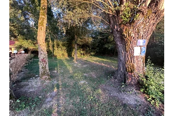 Wohnmobilstellplatz: Willkommen am Campingplatz am Seeufer! Erleben Sie bei uns unvergessliche Sonnenuntergänge, während Sie direkt am Wasser campen. Genießen Sie die malerische Kulisse, die Ruhe der Natur und die Möglichkeit, sich am See zu entspannen. Ihr perfektes Campingabenteuer wartet auf Sie! - Infinity-Campingplatz-Feldkirchenanderdonau