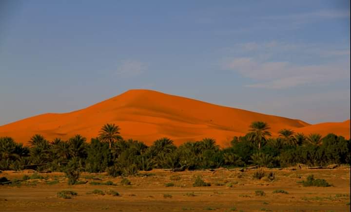 área camper - Marruecos - Oasis hassi labiad  - Auberge Camping Sahara