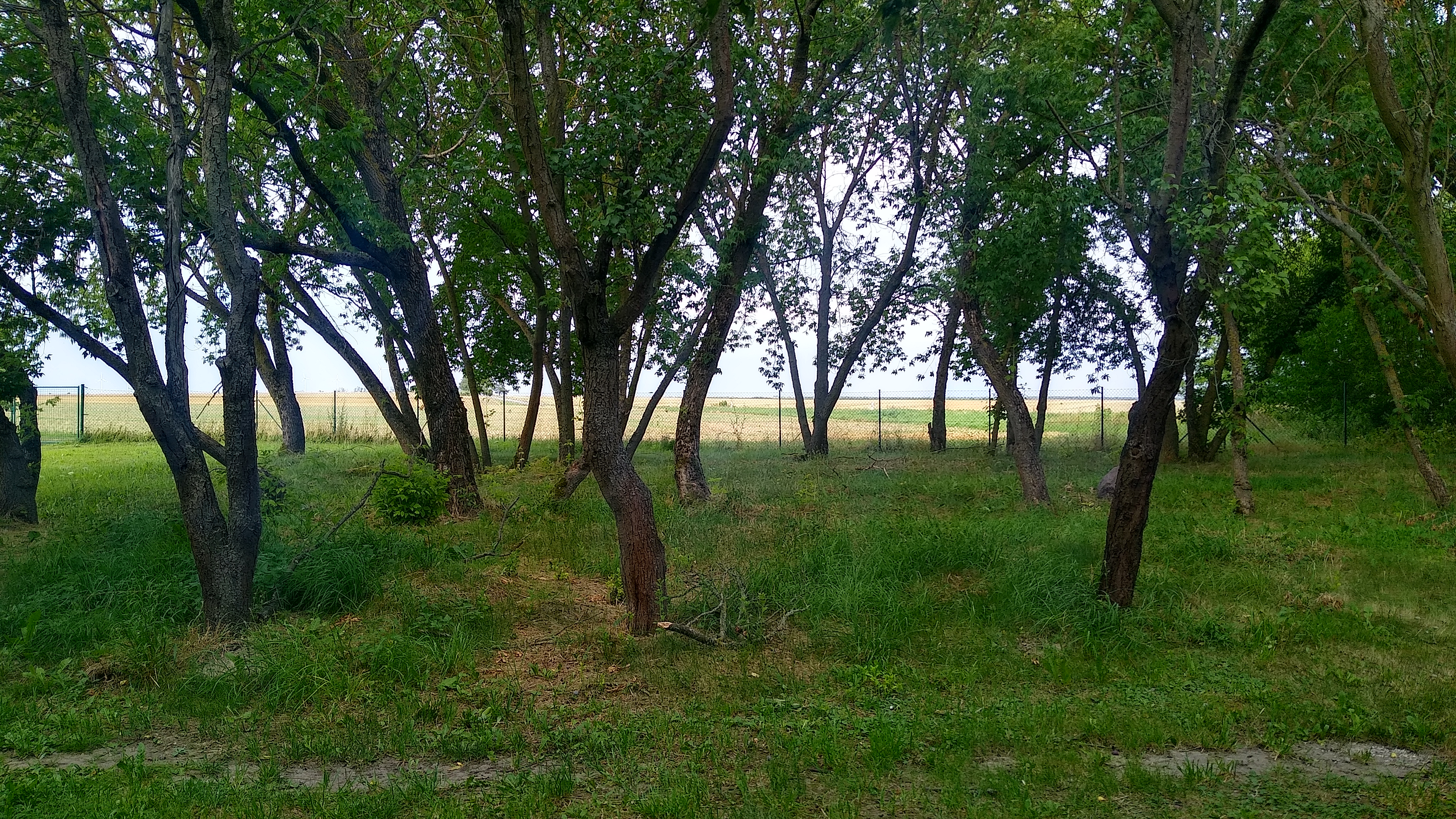 Wohnmobilstellplatz: Der Eckhof im Fläming - Wiesencamping zwischen Berlin, Potsdam und Wittenberg