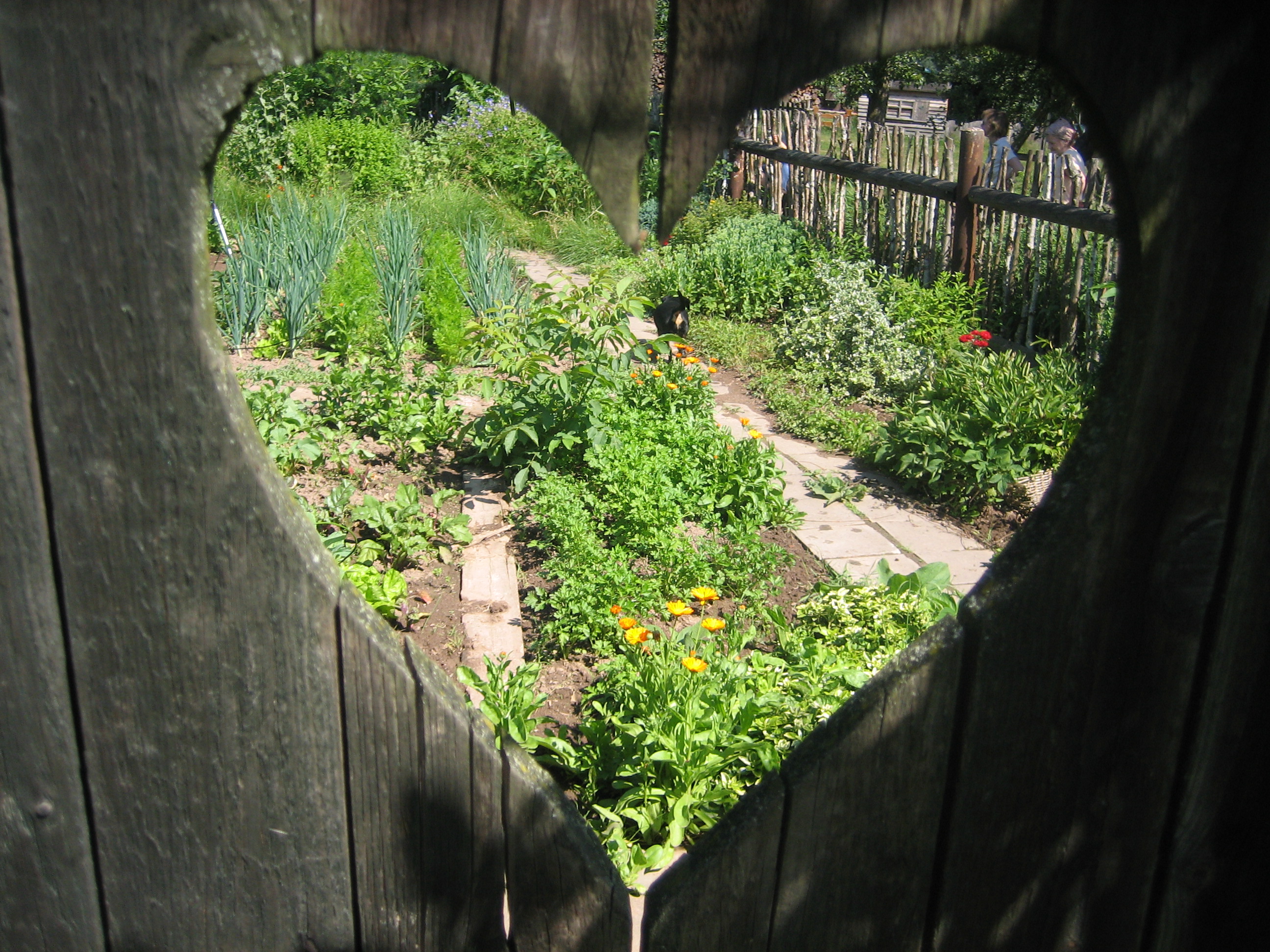 Reisemobilstellplatz: bauerngarten - Biehlerhof Camping