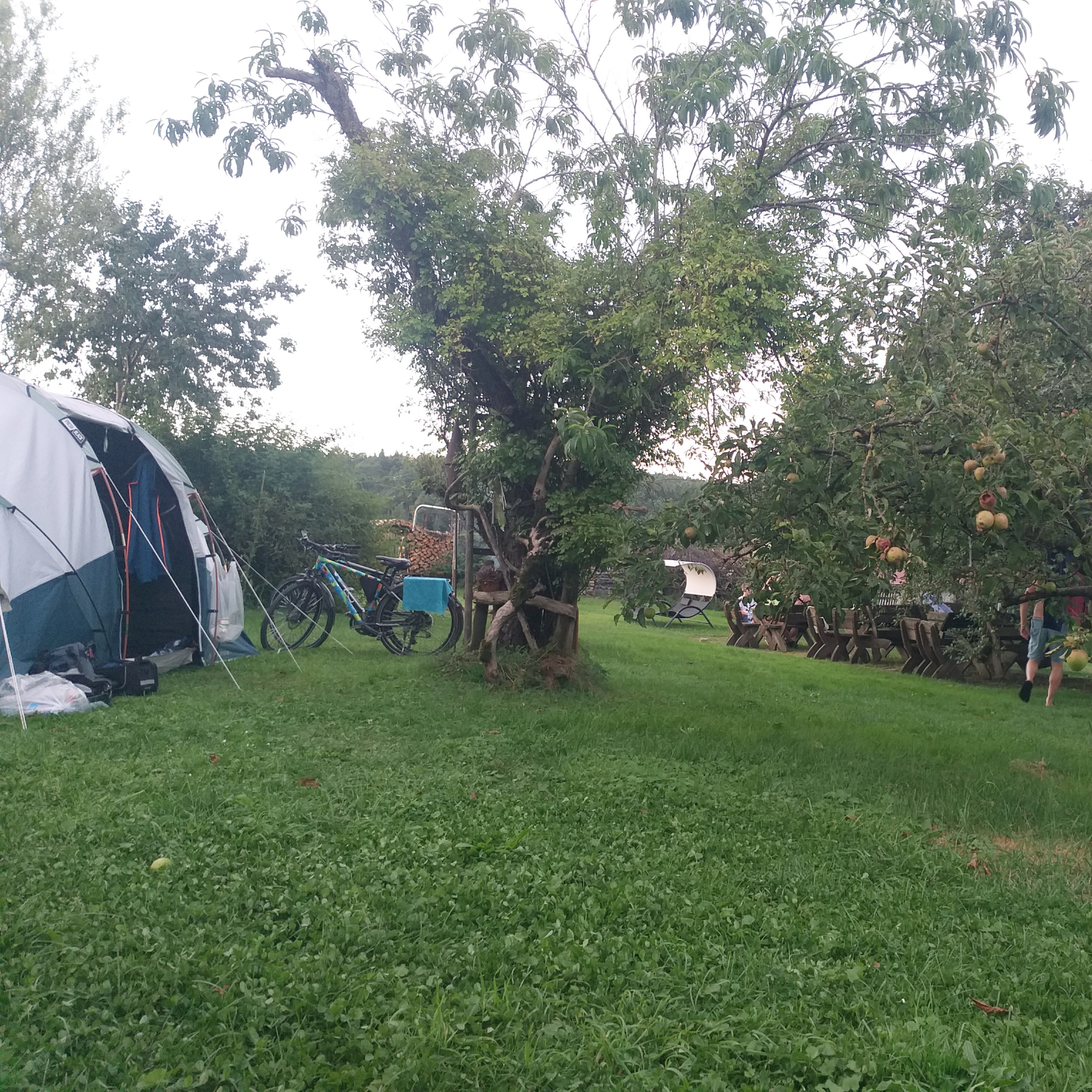 Reisemobilstellplatz: Biehlerhof Camping