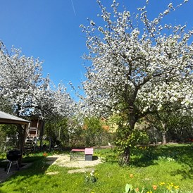 Wohnmobilstellplatz: Hausgarten zur Frühlingszeit - Landhof Läufer 
