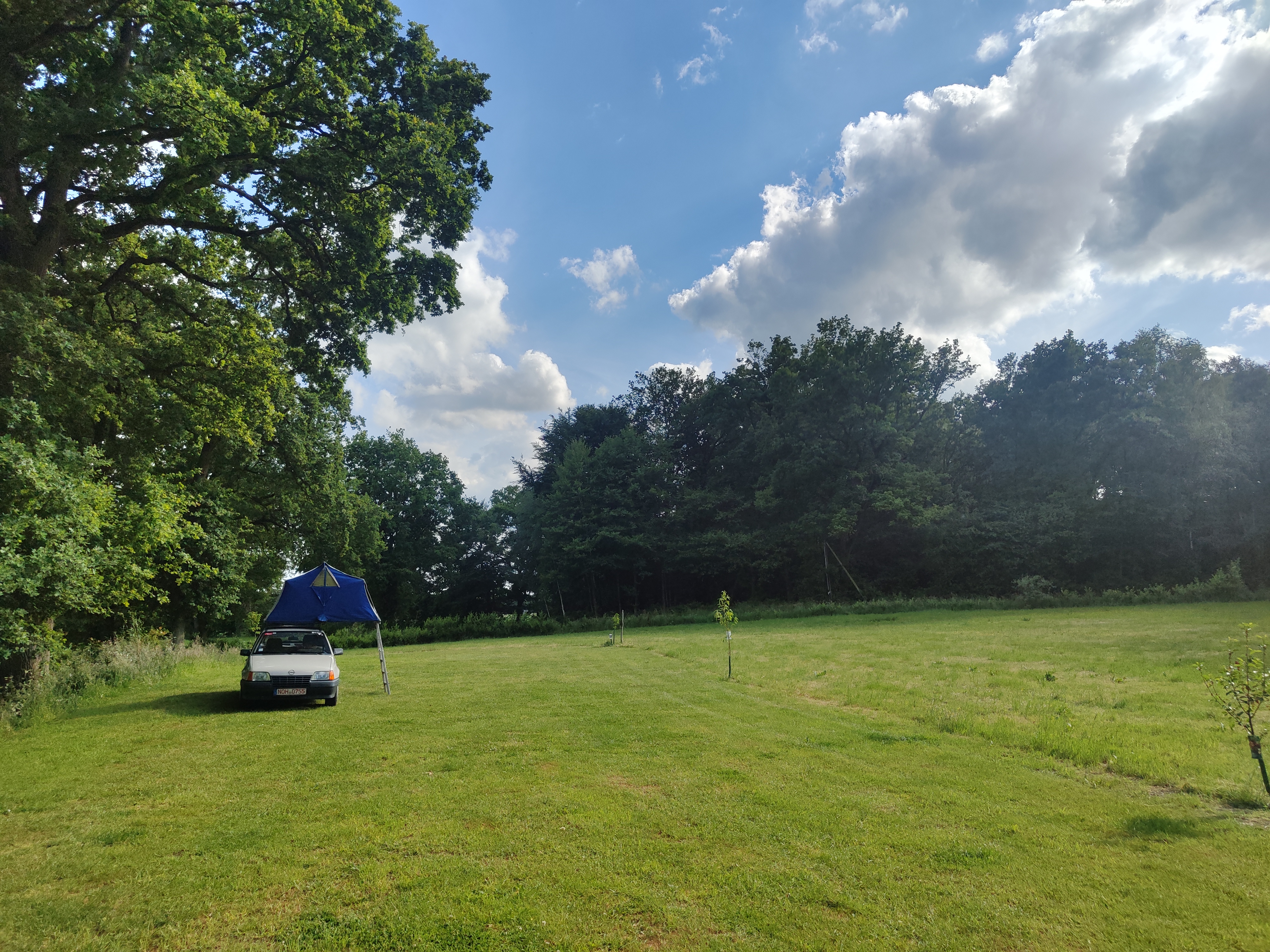 kampeerplaats voor campers - Hunde: erlaubt - Nedersaksen - Naturstellplatz "Kleine Weide unter Bäumen."