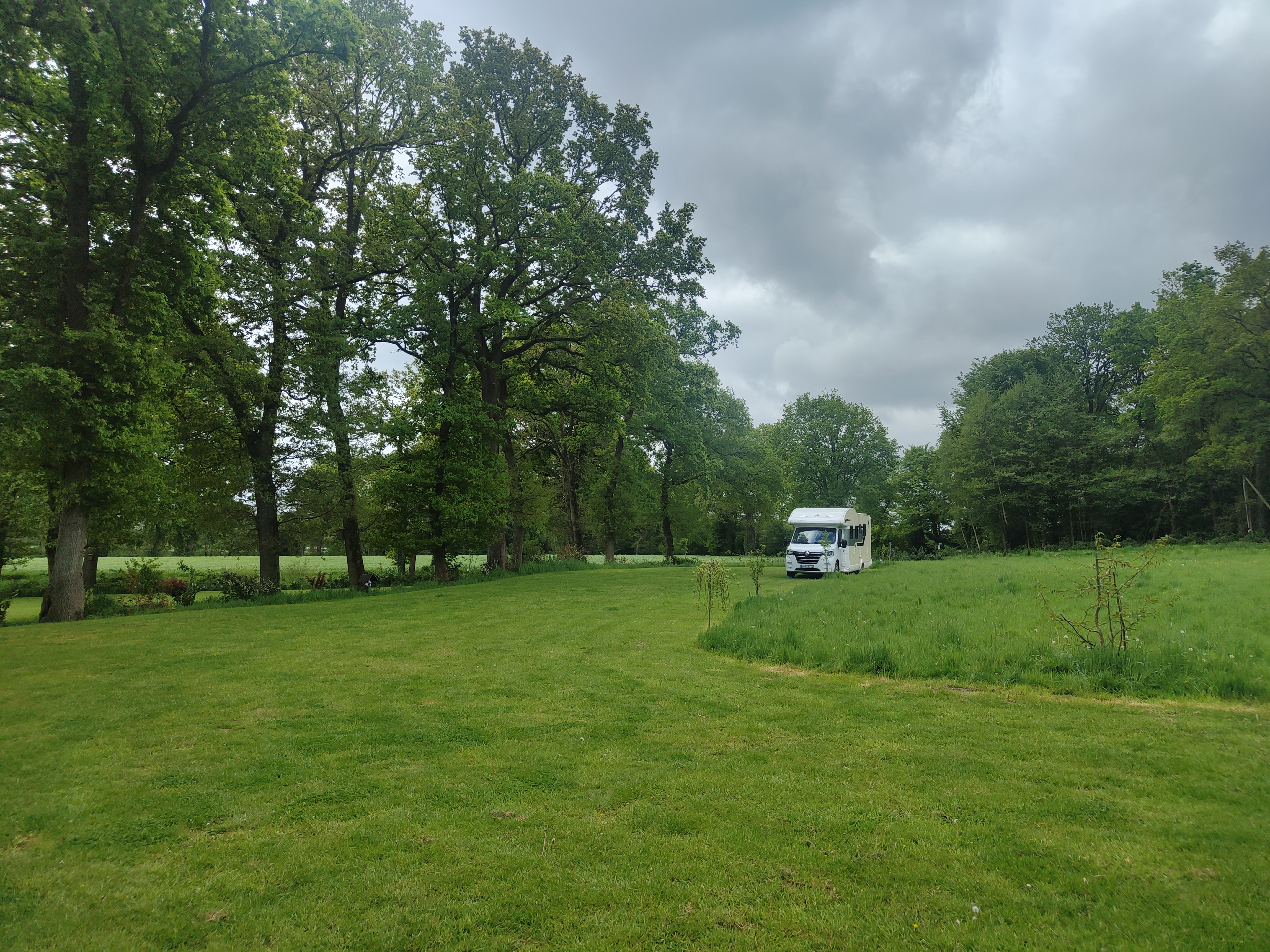 kampeerplaats voor campers - Hunde: erlaubt - Nedersaksen - Naturstellplatz "Kleine Weide unter Bäumen."