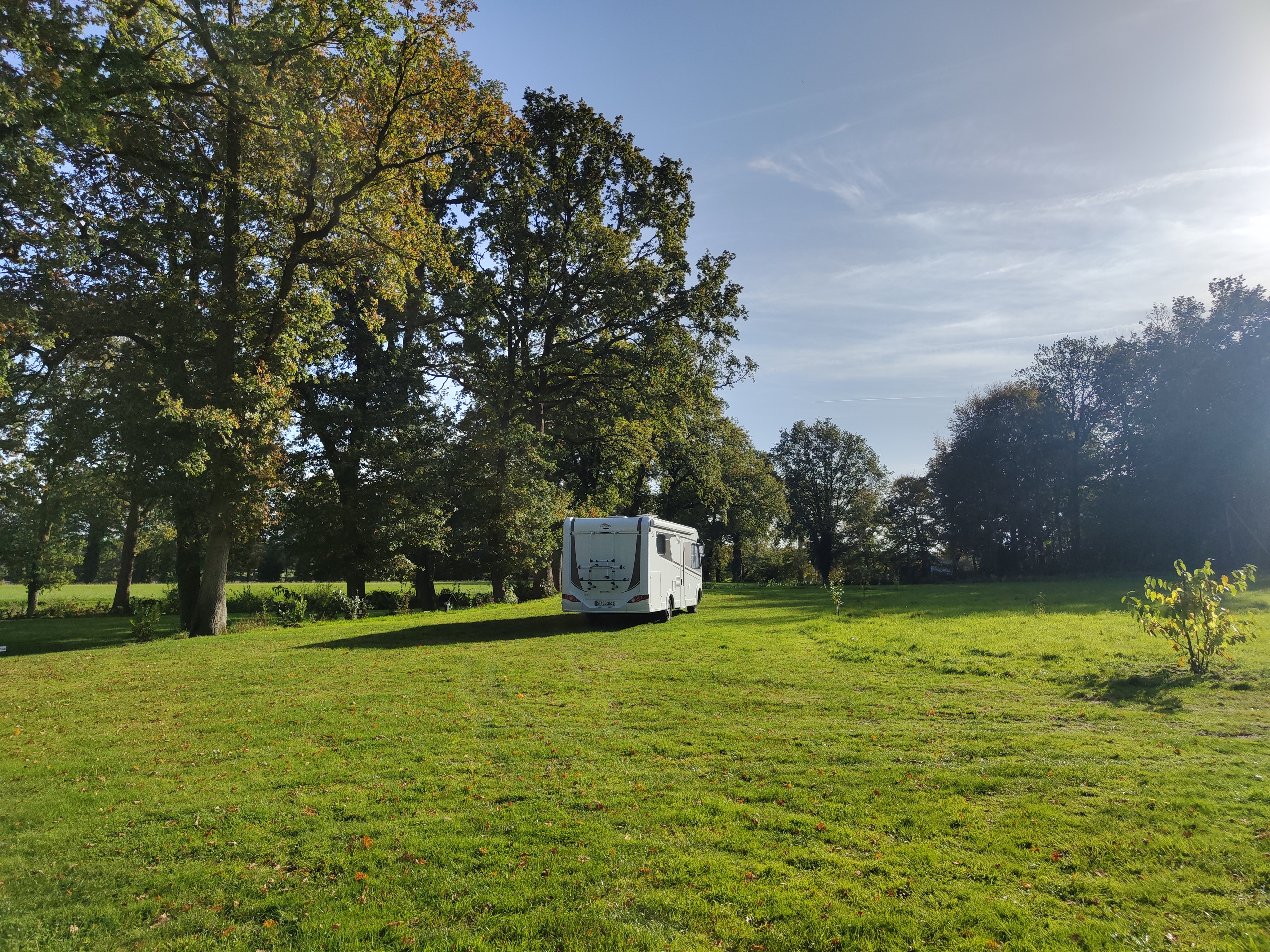kampeerplaats voor campers - Hunde: erlaubt - Nedersaksen - Naturstellplatz "Kleine Weide unter Bäumen."
