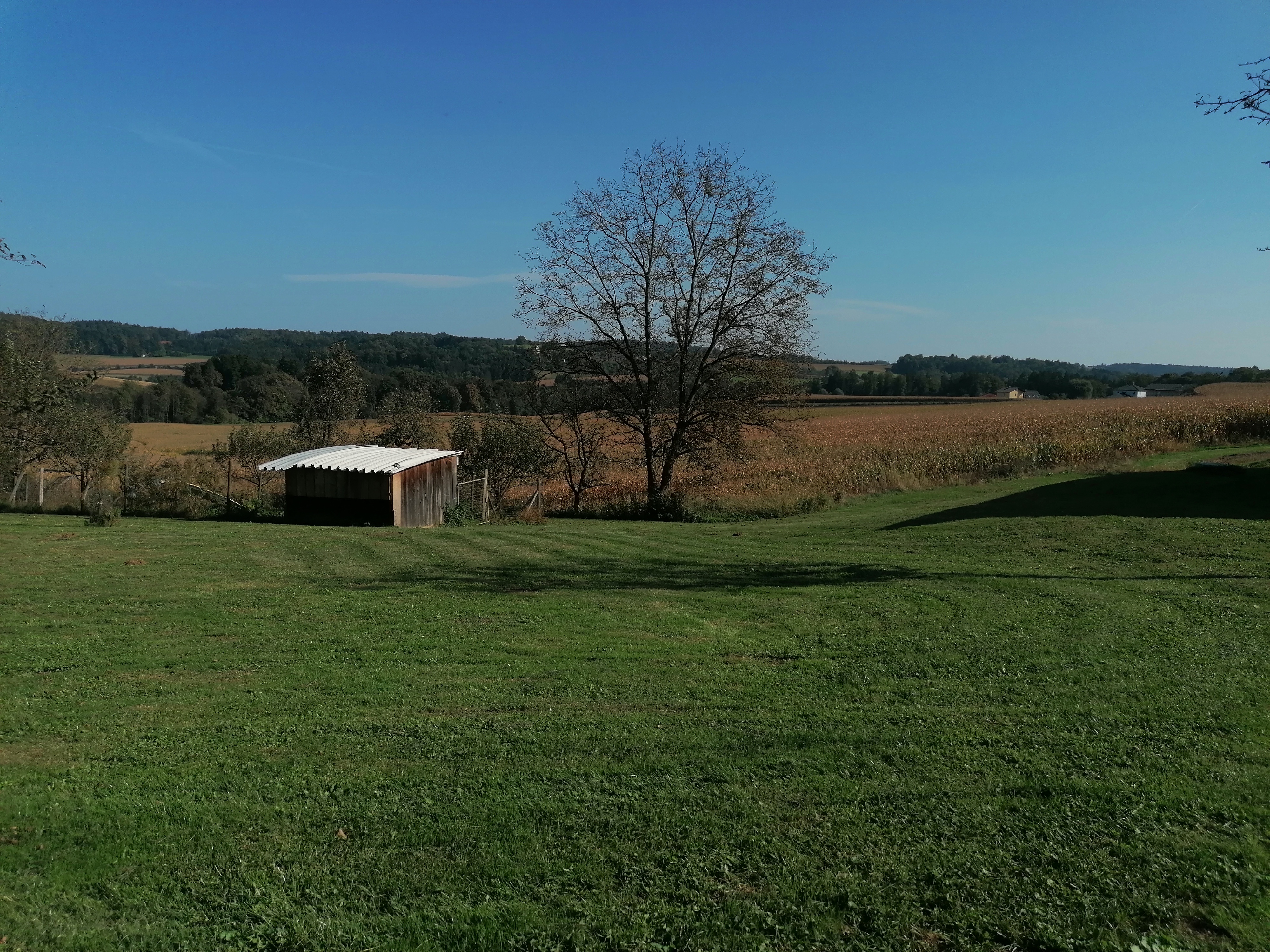 Wohnmobilstellplatz: Obstgarten - Stellplatz Ferienhaus Rothschedl.at - Emplacements, Infrastructure, zone