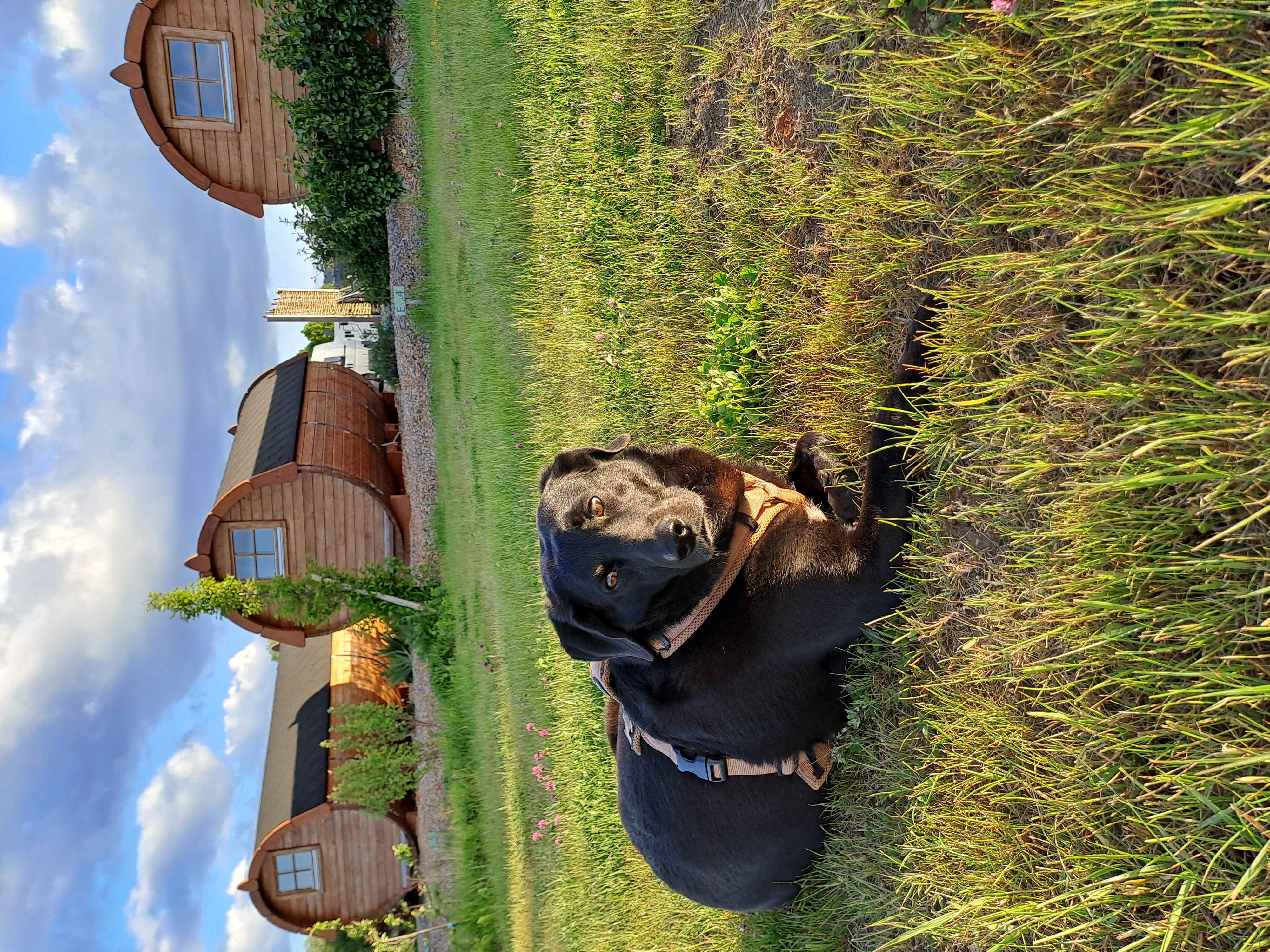 Area sosta per camper - Warmensteinach - 5 Rasenstellplätze - Fichtelpark - Wohnmobil- und Wohnwagenstellplatz