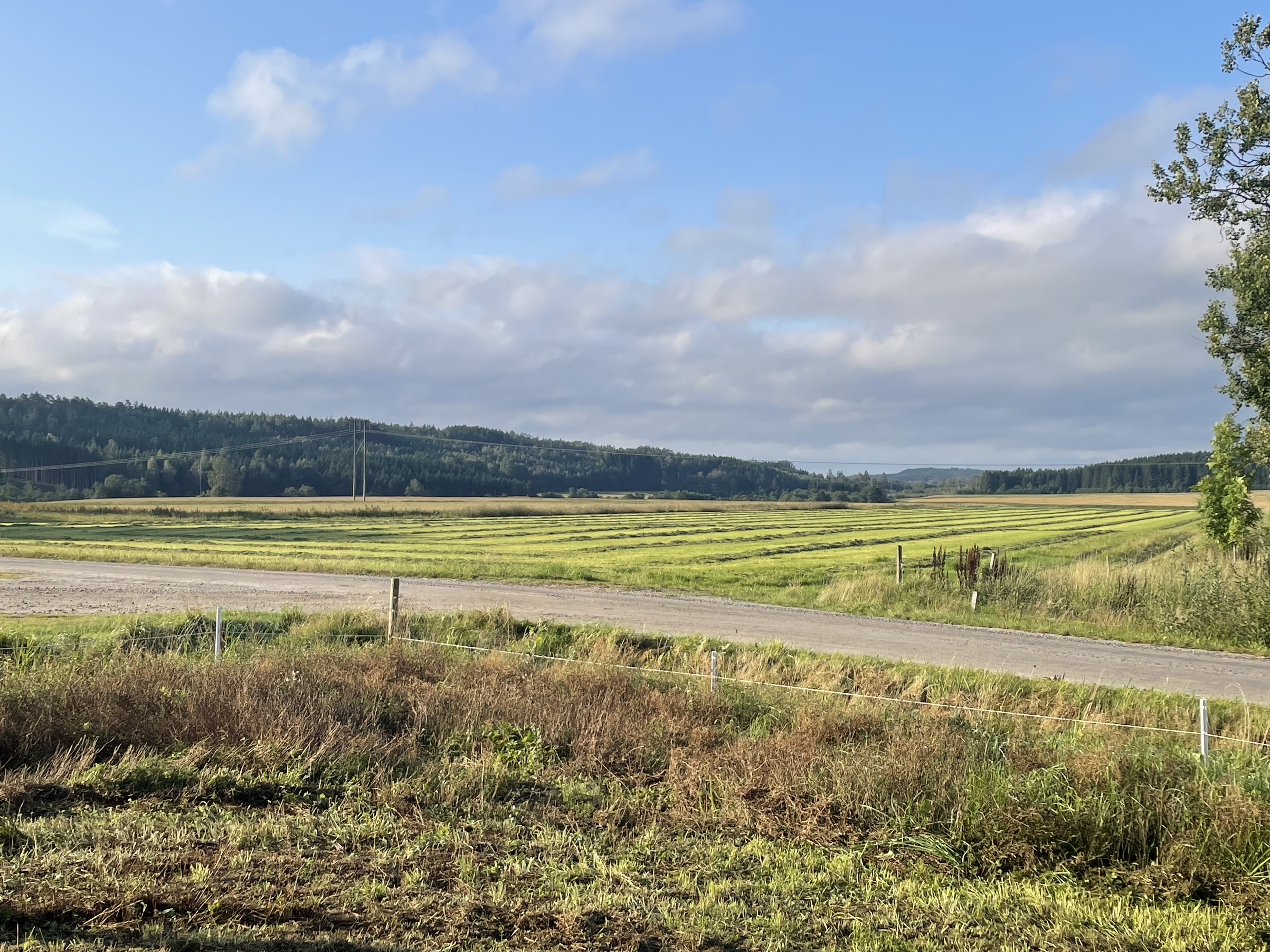 Reisemobilstellplatz - Strömstad - Panorama - Tanum Auf dem Land - Panorama