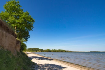 Wohnmobilstellplatz: Strand  - Ostseecamping Ferienpark Zierow