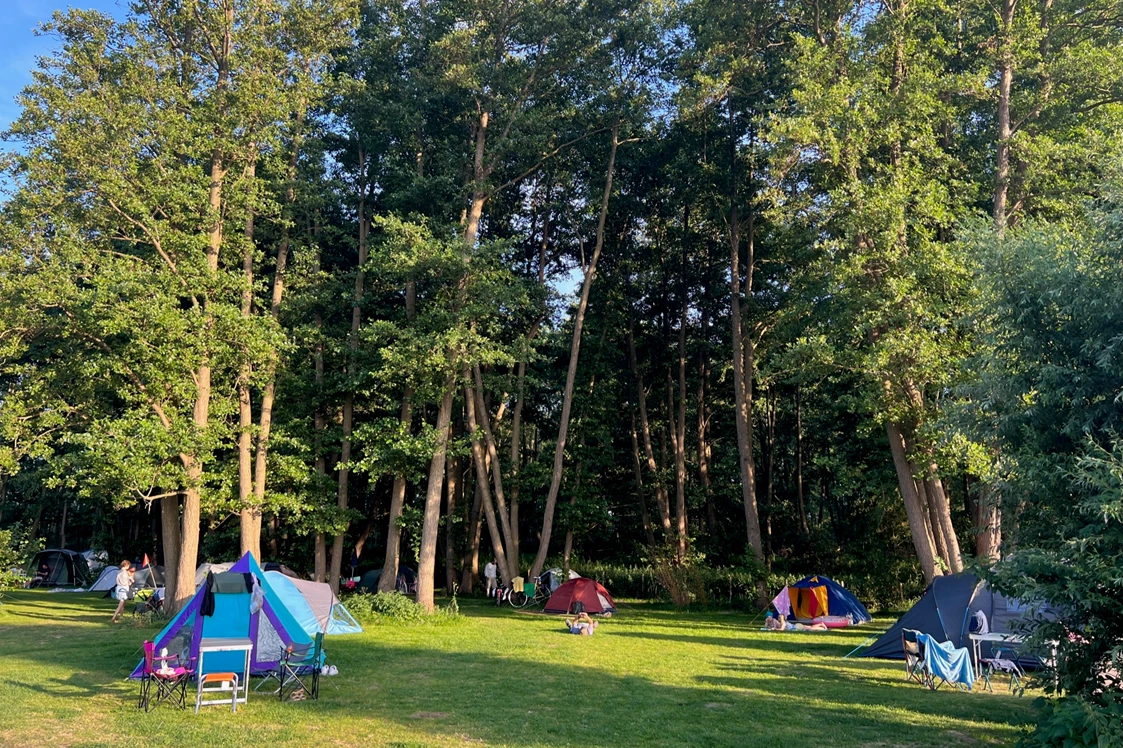 Wohnmobilstellplatz: Zeltplatz am Wald - ostseequelle.camp