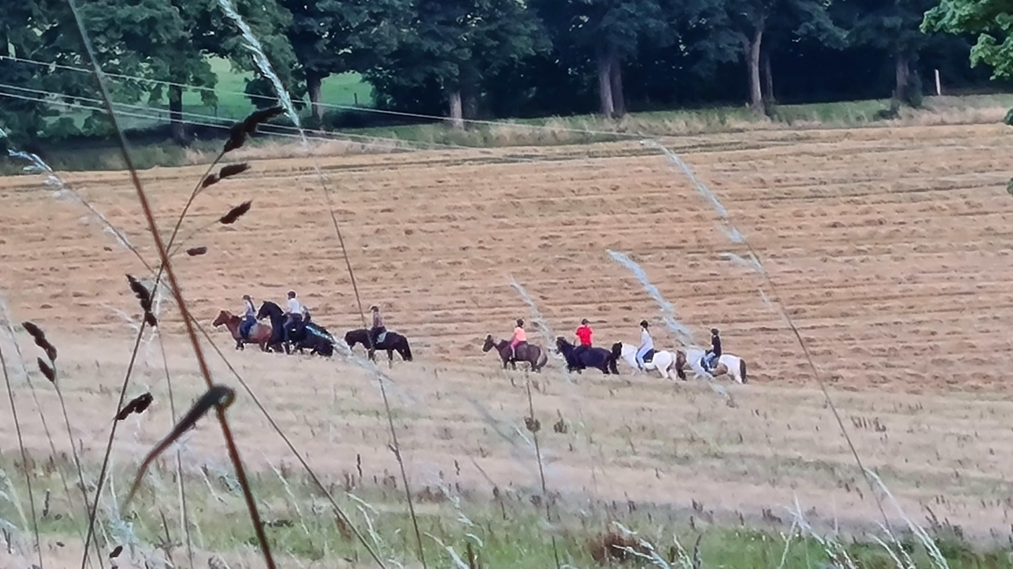 Wohnmobilstellplatz: Ludvikov Horses & Holiday