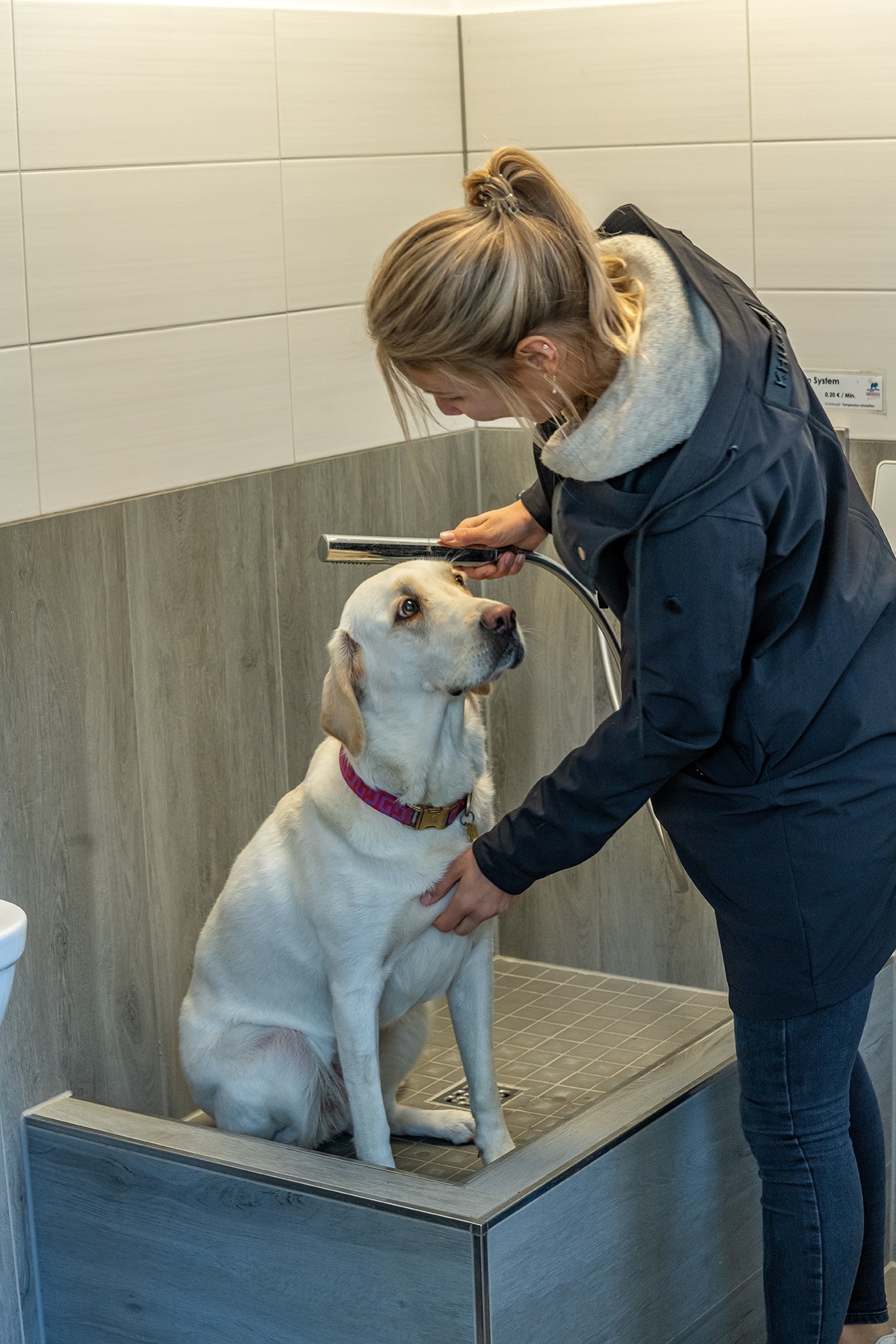 Wohnmobilstellplatz: Hundedusche ©CPKerstgenshof - Campingpark Kerstgenshof - Infrastruktur, Sanitär