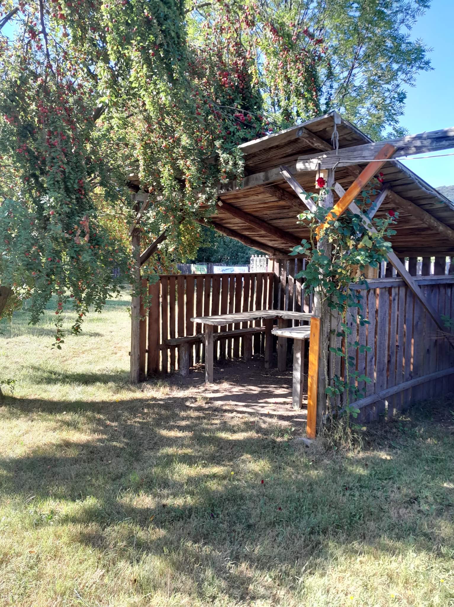 Place de parking pour camping-car - Roumanie - Motel Silvia