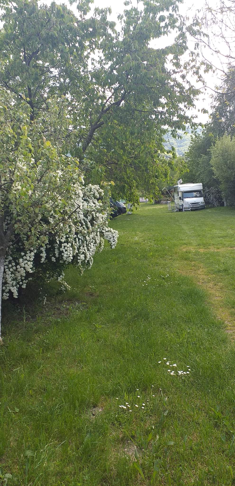 Wohnmobilstellplatz: Motel Silvia