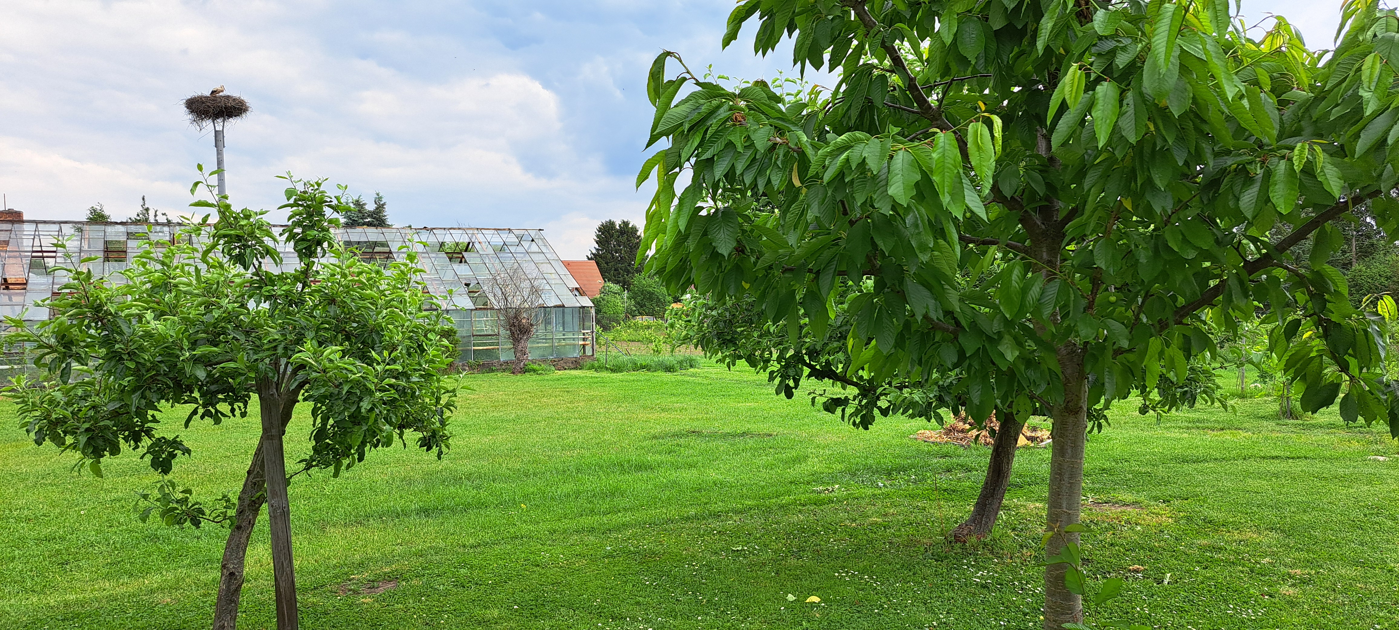 Reisemobilstellplatz - Lausitzer Seenland - Storchenblick