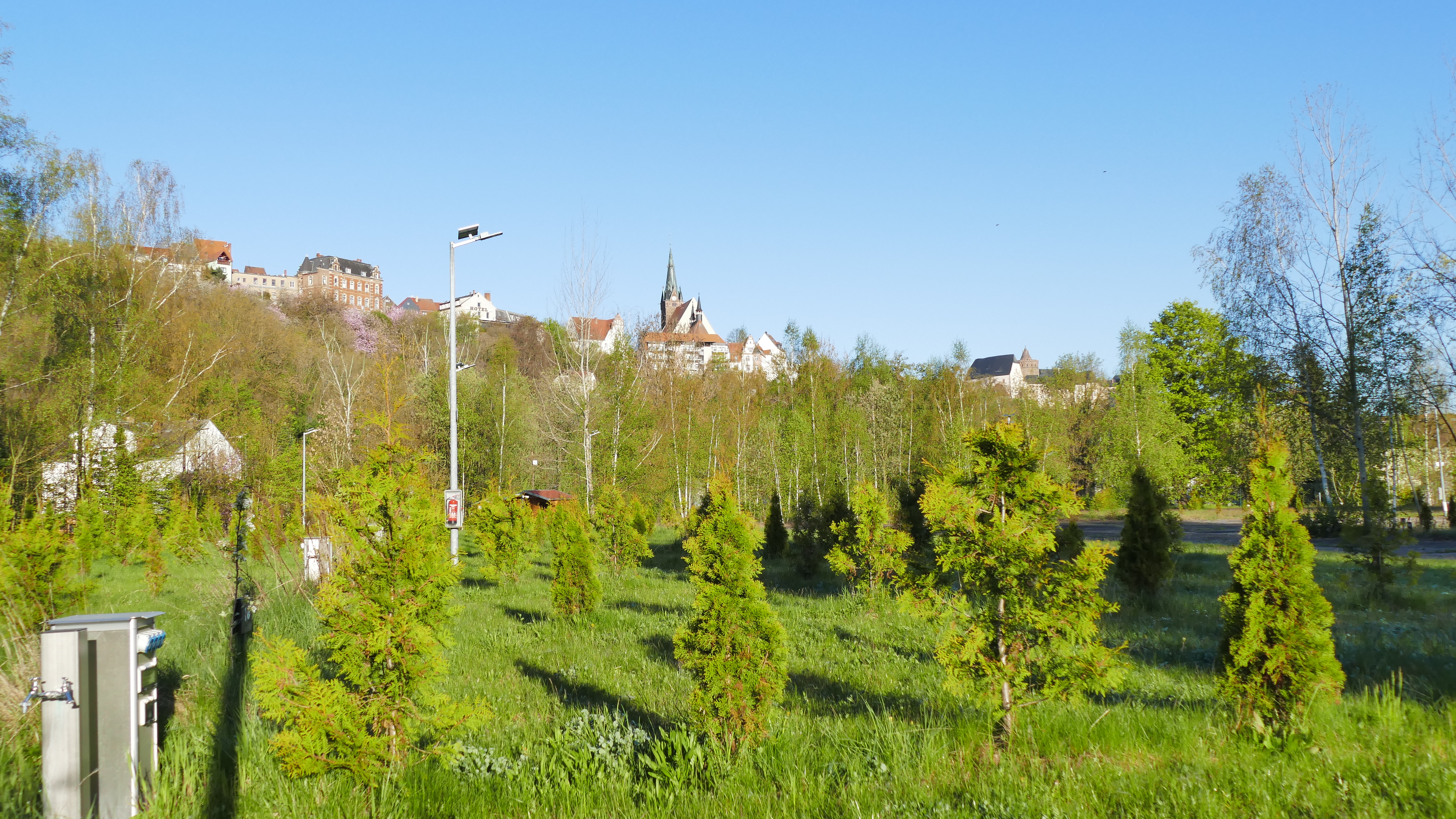 Wohnmobilstellplatz: Sicht auf Leisnig - Wohnmobilstellplatz Leisnig - Sachsen