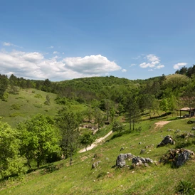 Wohnmobilstellplatz: Resort Čiže