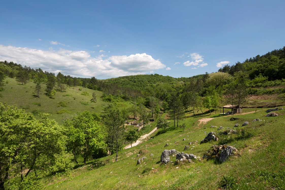 Wohnmobilstellplatz: Resort Čiže