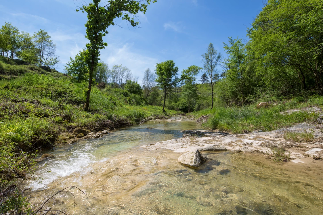 Wohnmobilstellplatz: Resort Čiže