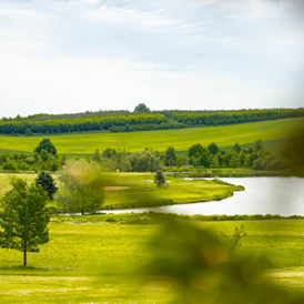 Wohnmobilstellplatz: Golfové hřiště - Kestřany Golf & Country Club