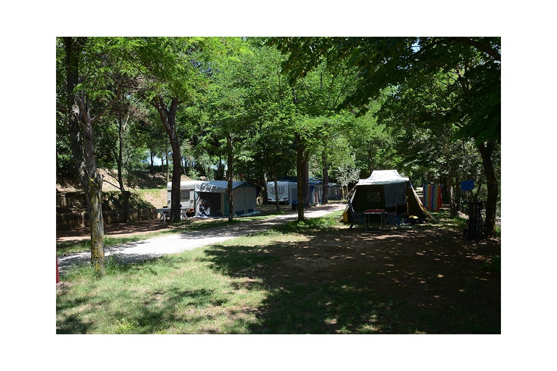 Wohnmobilstellplatz: Camping Panorama Pesaro