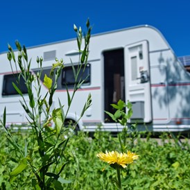 Wohnmobilstellplatz: Wohnmobil, Wohnwagen, Bulli - hier findet jeder einen Platz  - Campingurlaub auf dem Huberhof Hinzing 