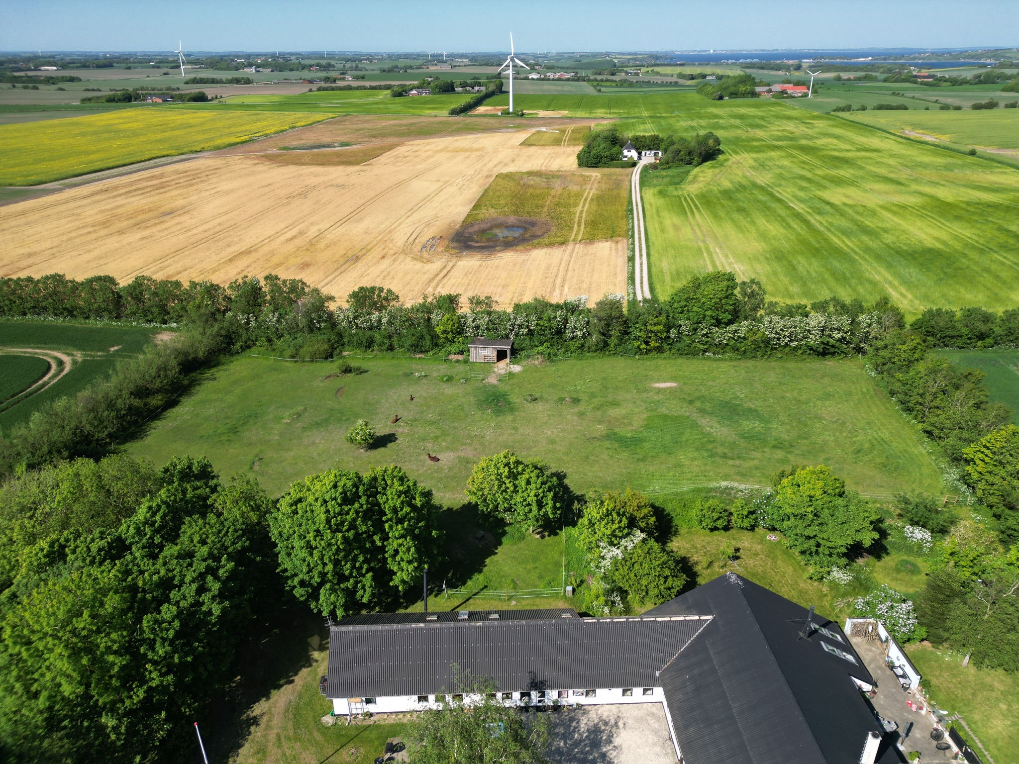 Wohnmobilstellplatz: Thypaca Alpaca Farm