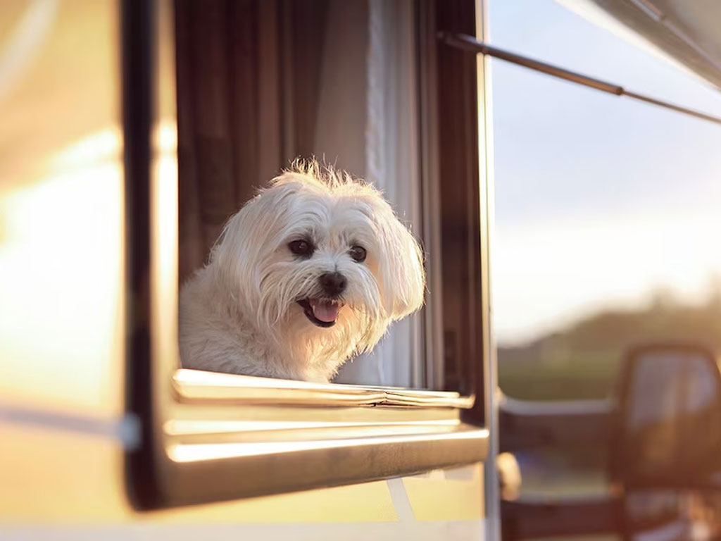 Place de parking pour camping-car - Garda VR - Camping Village Gasparina****