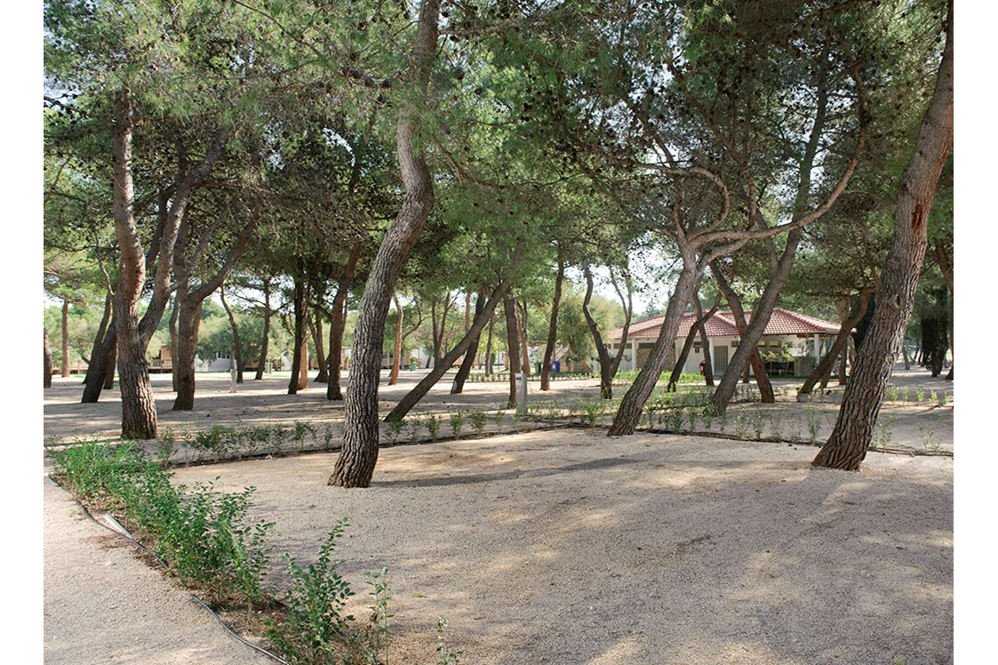 Wohnmobilstellplatz: Campingplatz Amadria Park Šibenik