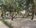 Wohnmobilstellplatz: Campingplatz Amadria Park Šibenik