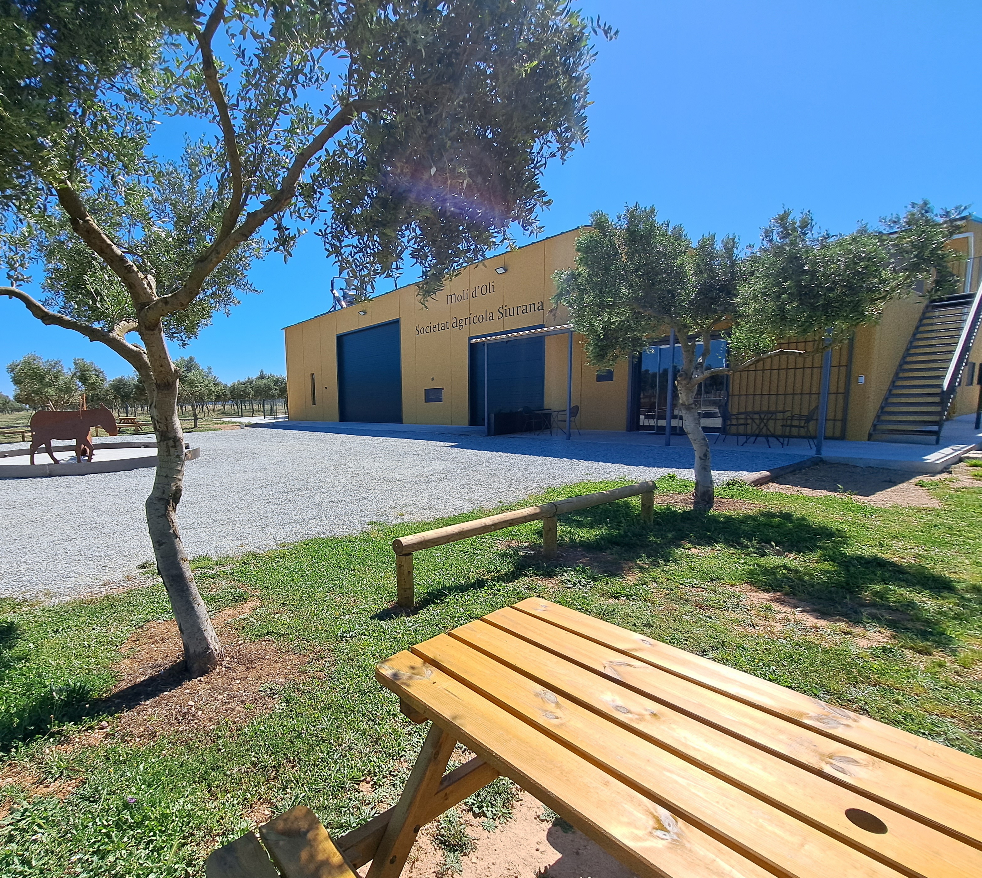 Place de parking pour camping-car - Wohnwagen erlaubt - Costa Brava - Zona picnic - Relax and enjoy ample space and tranquility among organic olive trees