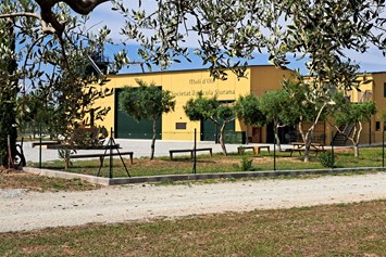 Wohnmobilstellplatz: Molino de aceite de oliva ecológico - Relax and enjoy ample space and tranquility among organic olive trees