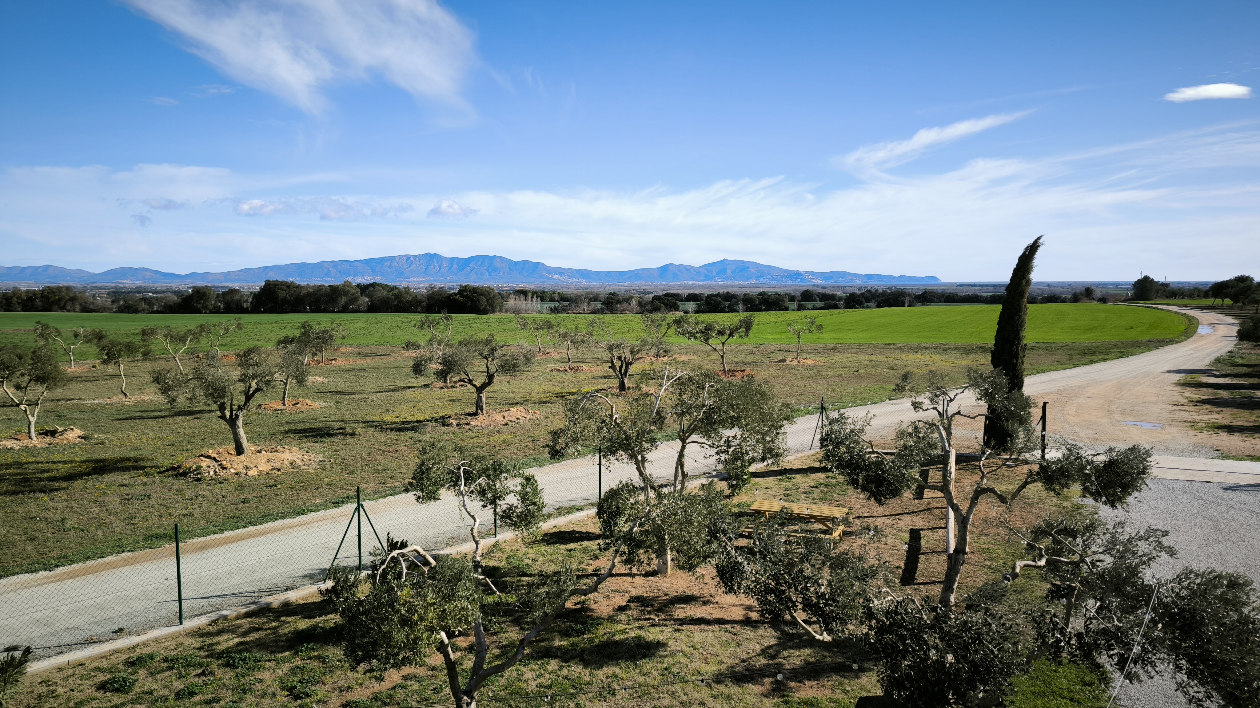 Wohnmobilstellplatz: Vista panorámica - Relax and enjoy ample space and tranquility among organic olive trees