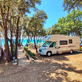 Wohnmobilstellplatz: Campingplatz Straško****