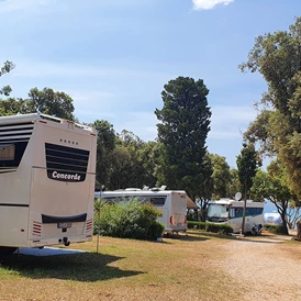 Wohnmobilstellplatz: Campingplatz Straško****